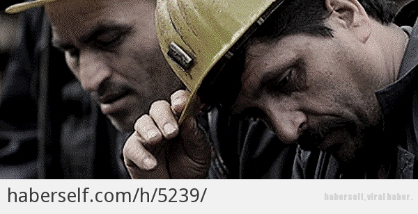 29517_m.jpg